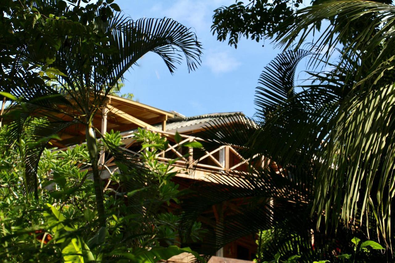Eden Jungle Lodge Bocas del Toro Zewnętrze zdjęcie