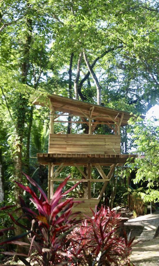 Eden Jungle Lodge Bocas del Toro Zewnętrze zdjęcie