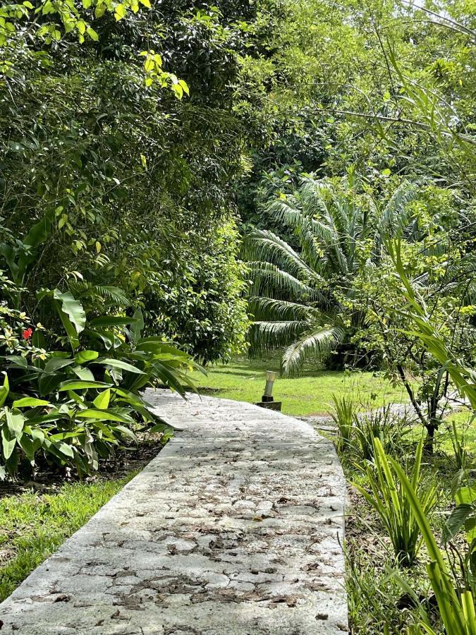 Eden Jungle Lodge Bocas del Toro Zewnętrze zdjęcie