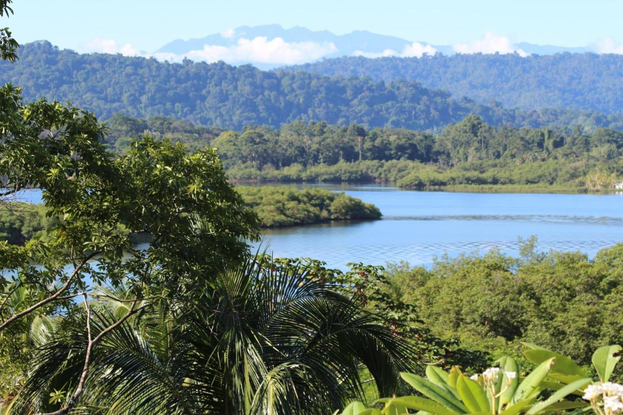 Eden Jungle Lodge Bocas del Toro Zewnętrze zdjęcie
