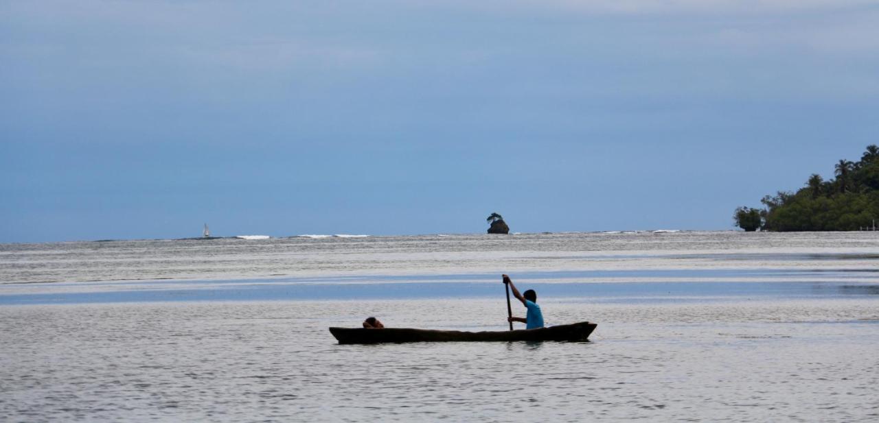 Eden Jungle Lodge Bocas del Toro Zewnętrze zdjęcie
