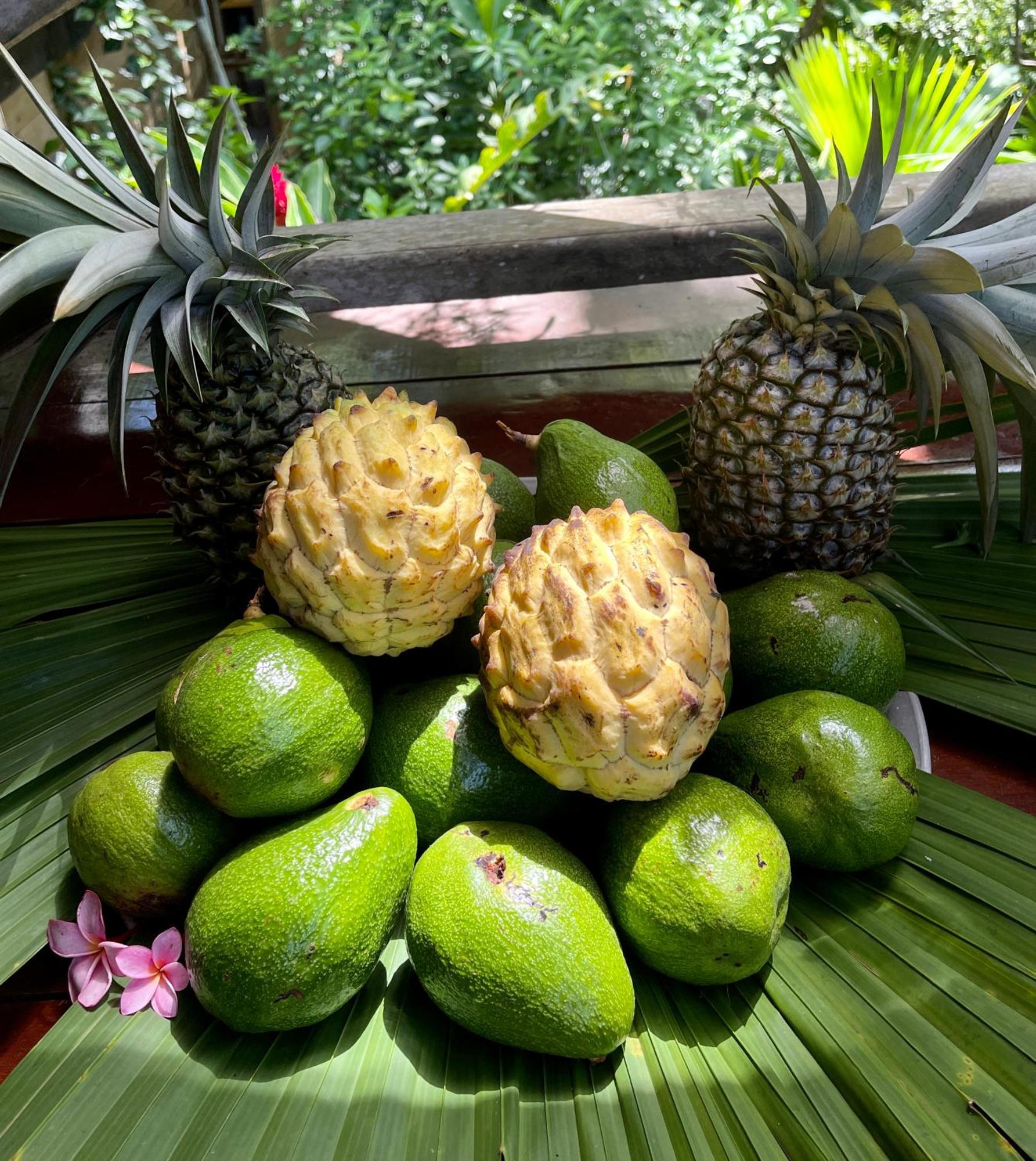 Eden Jungle Lodge Bocas del Toro Zewnętrze zdjęcie