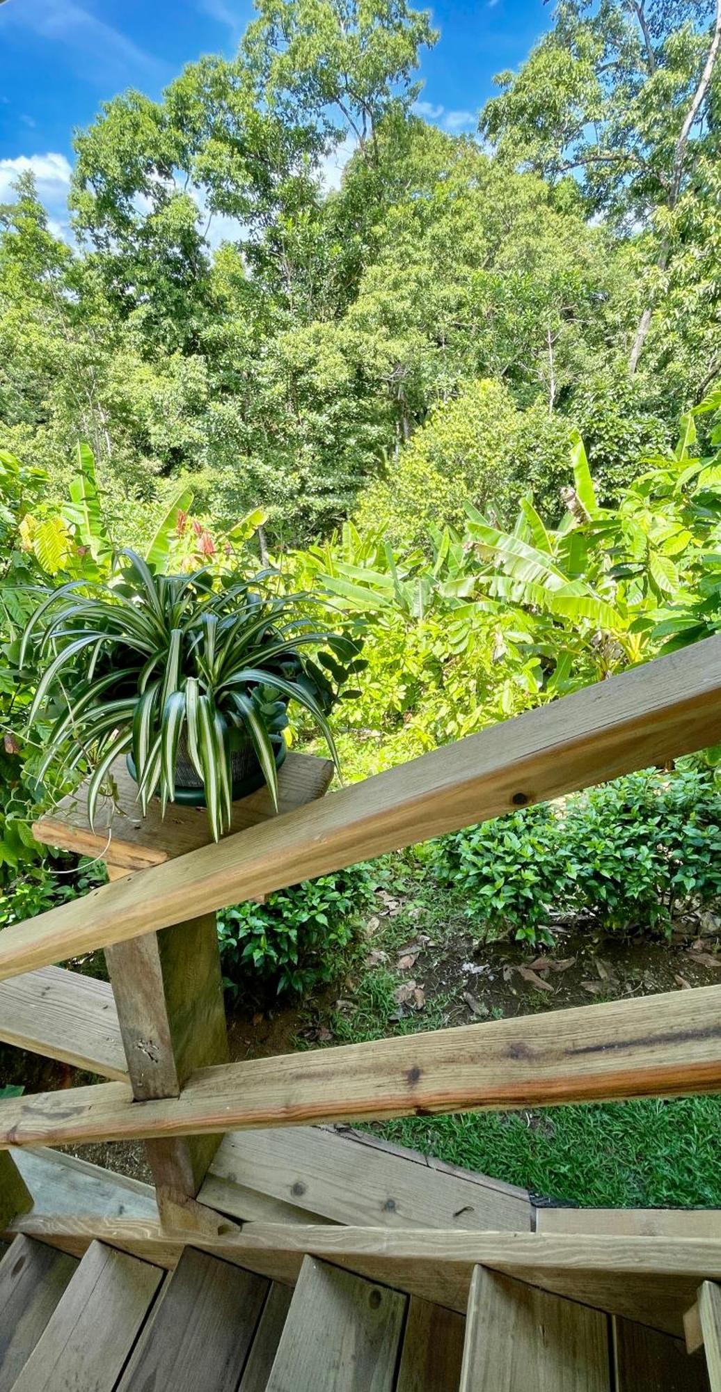 Eden Jungle Lodge Bocas del Toro Zewnętrze zdjęcie