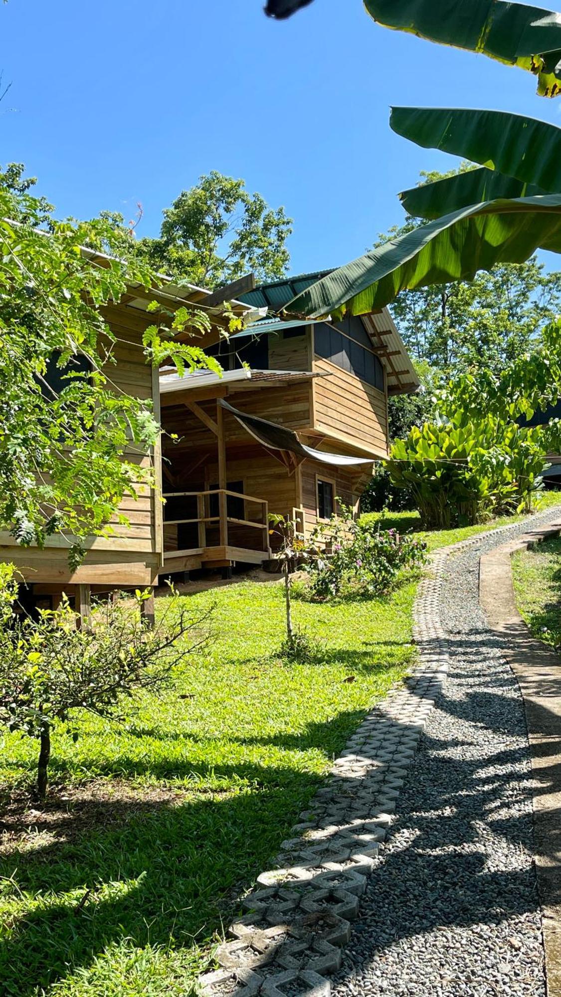 Eden Jungle Lodge Bocas del Toro Zewnętrze zdjęcie
