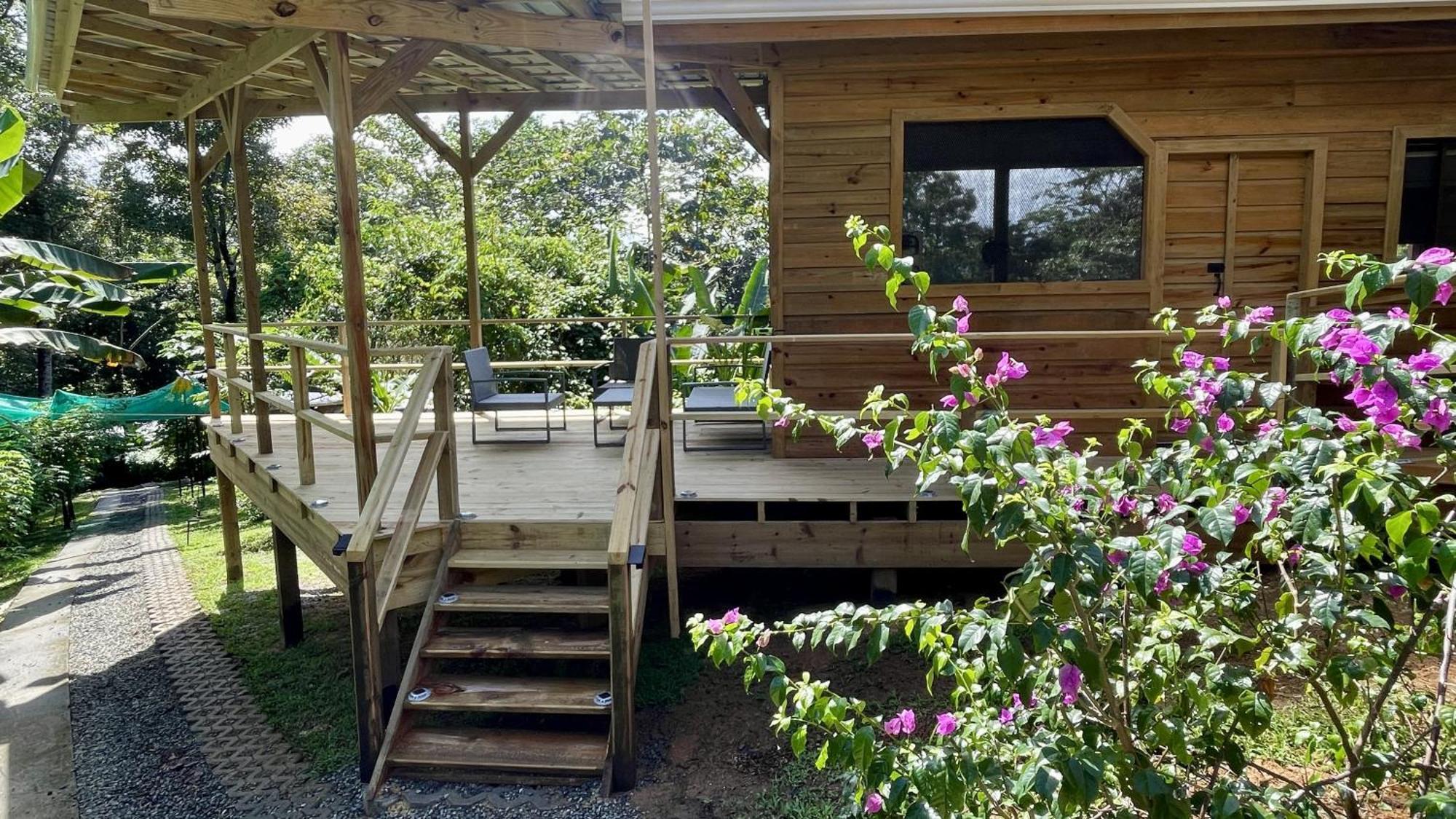 Eden Jungle Lodge Bocas del Toro Zewnętrze zdjęcie